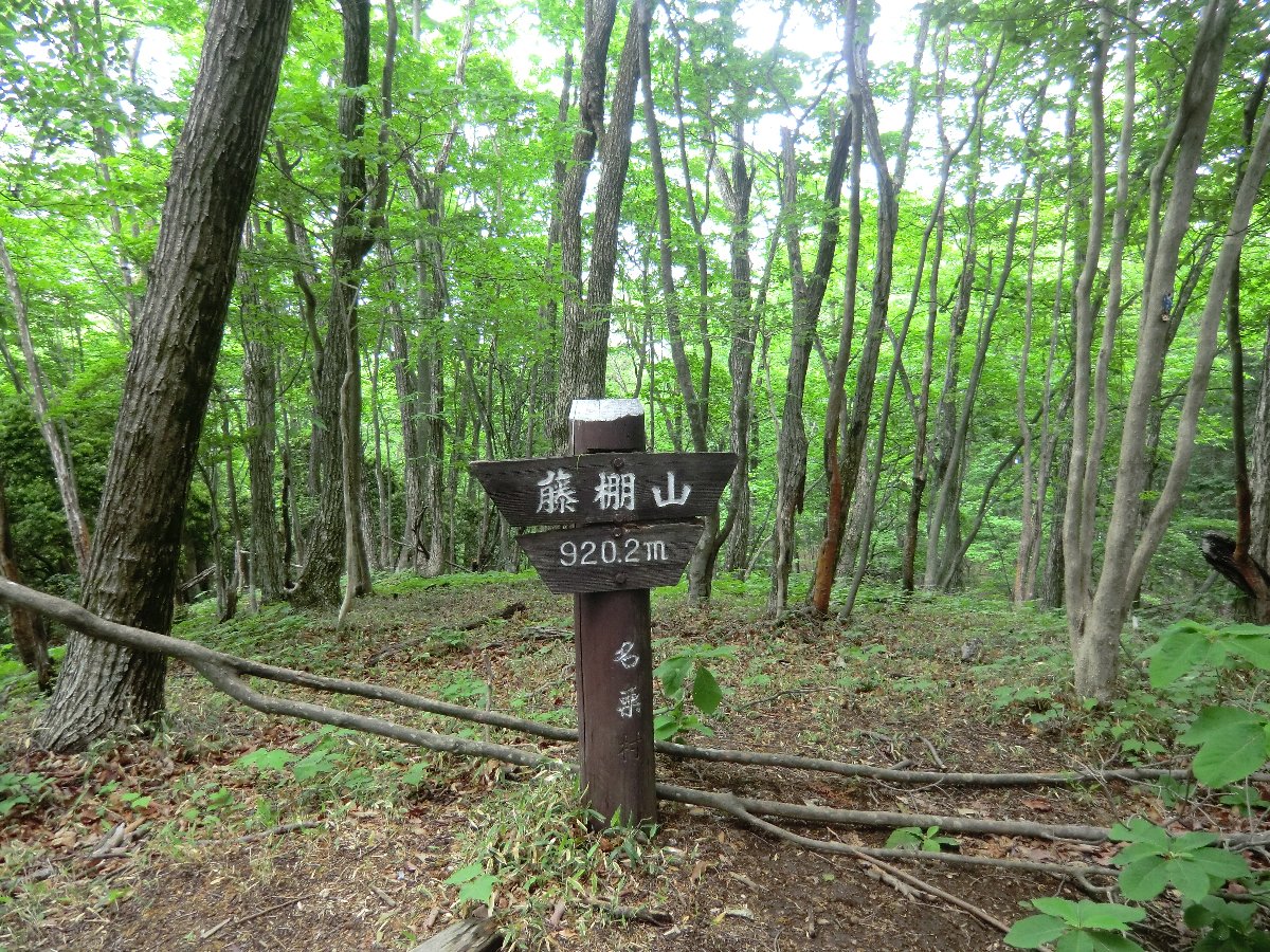 クリックで拡大表示<藤棚山(920m)>