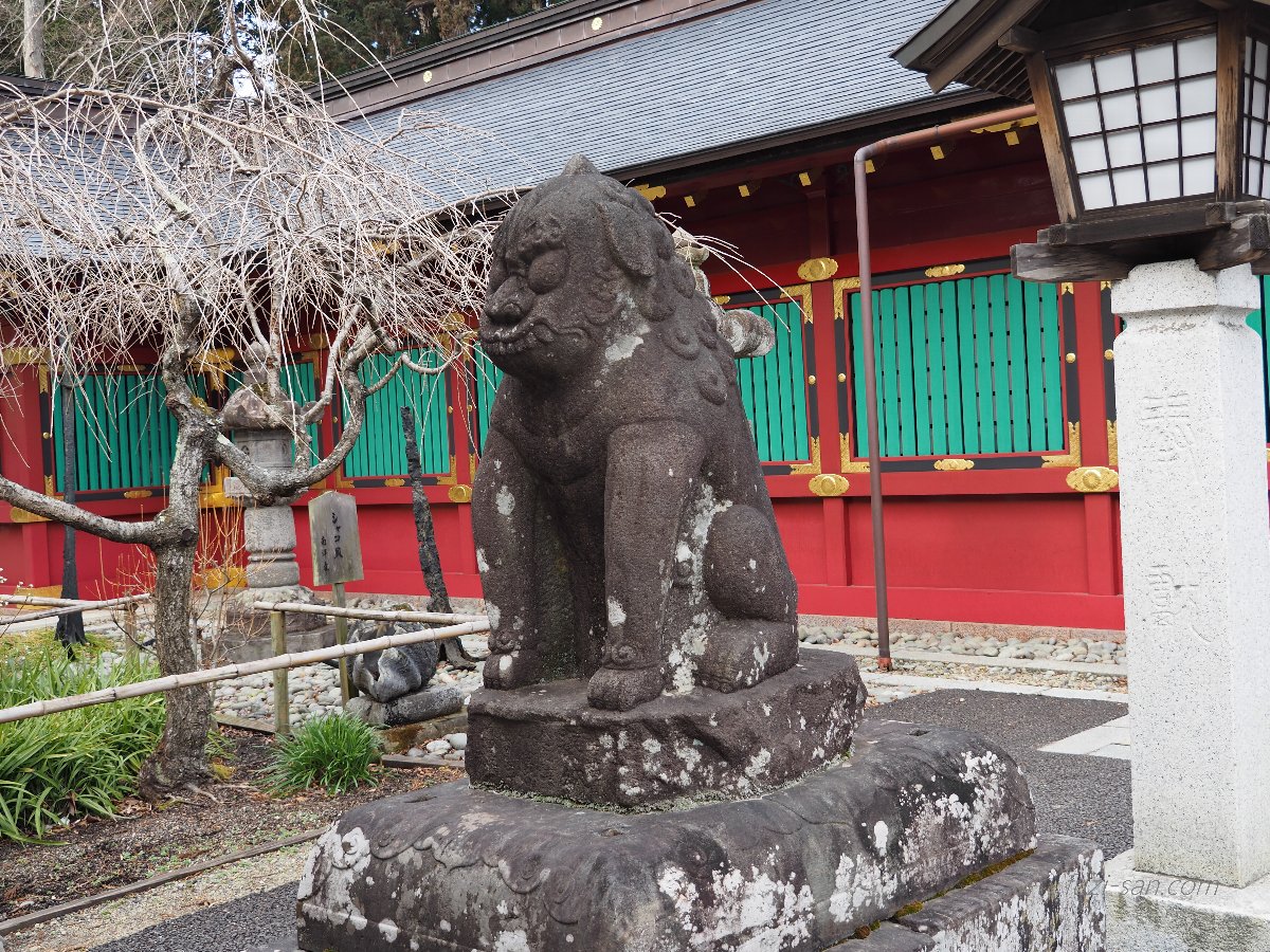 クリックで拡大表示<鹽竈神社/吽形狛犬>