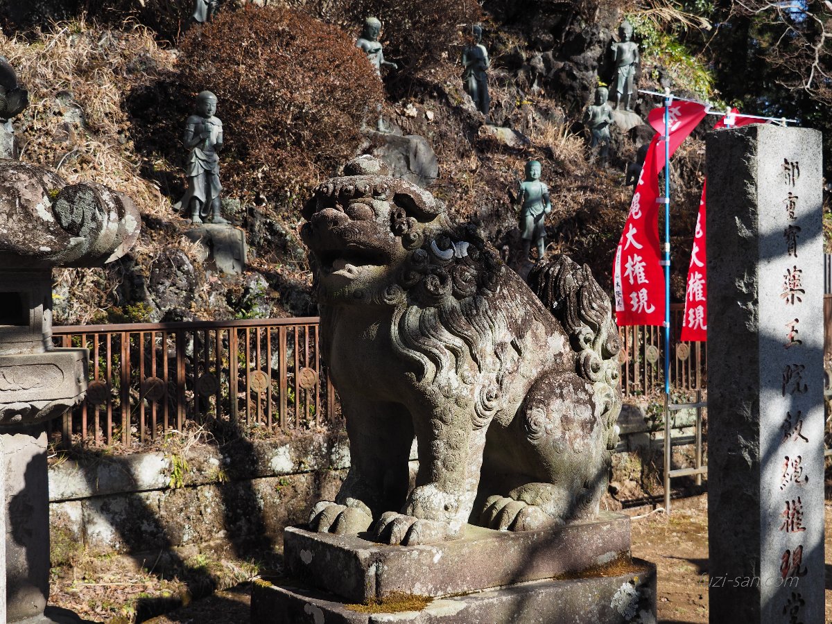 クリックで拡大表示<高尾山薬王院/阿形狛犬>