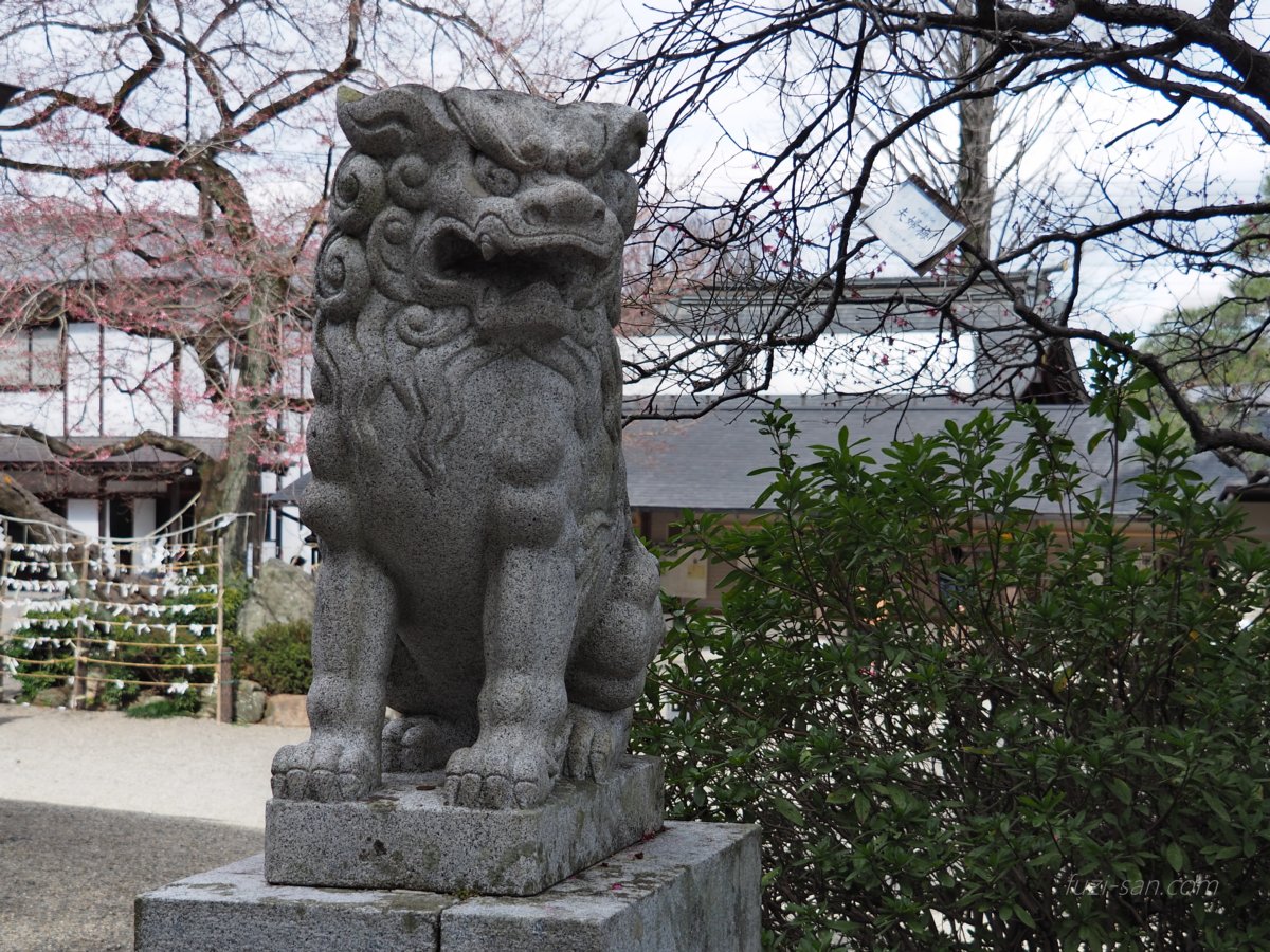 クリックで拡大表示<高麗神社/阿形狛犬>