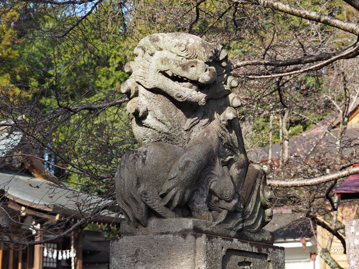 クリックで拡大表示<新町御嶽神社/阿形狛犬>