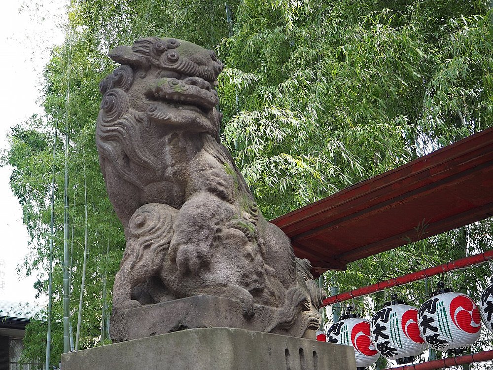 クリックで拡大表示<田無神社/阿形狛犬>