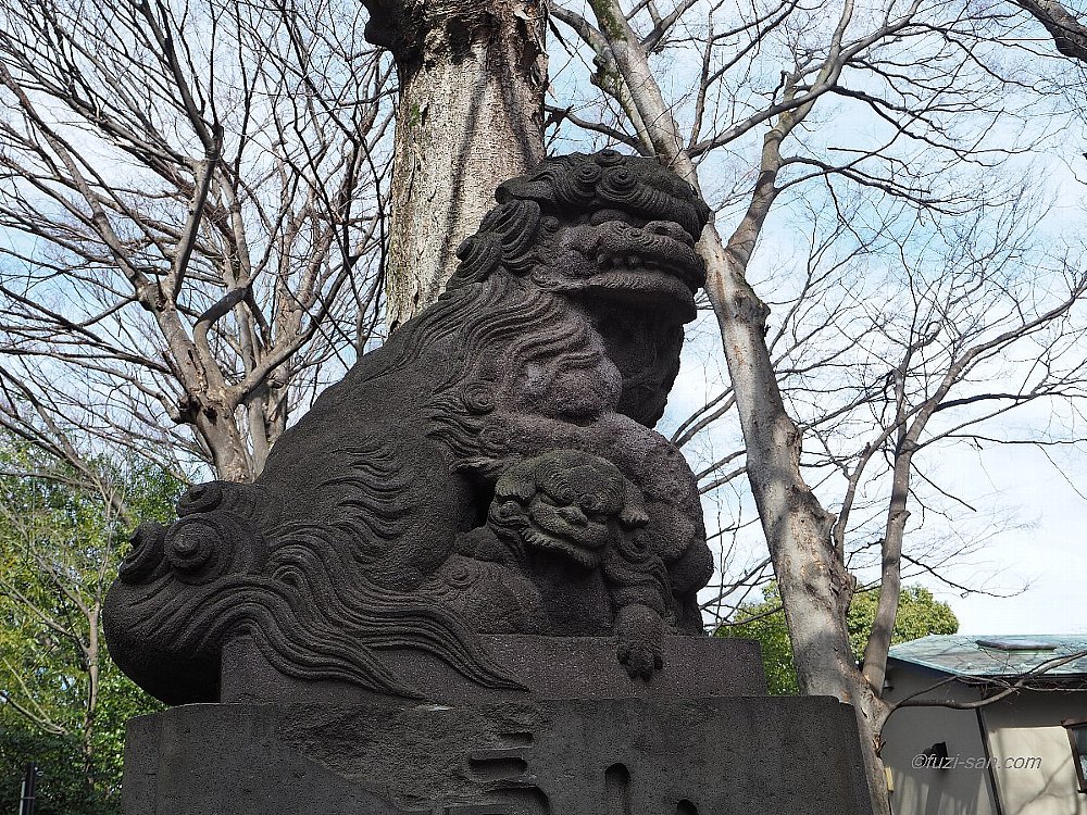 クリックで拡大表示<田無神社/吽形狛犬>