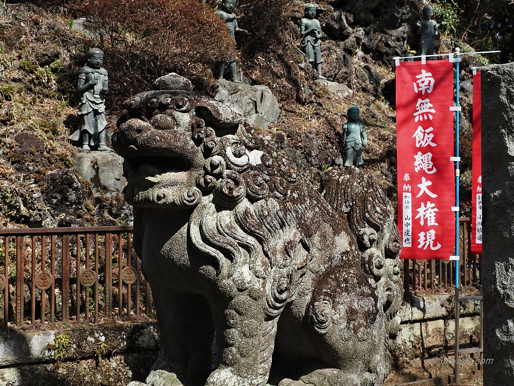 クリックで拡大表示<高尾山薬王院/阿形狛犬>
