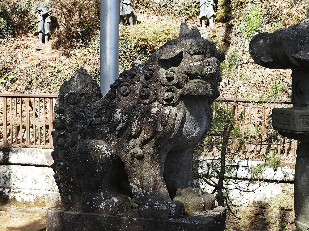クリックで拡大表示<高尾山薬王院/吽形狛犬>