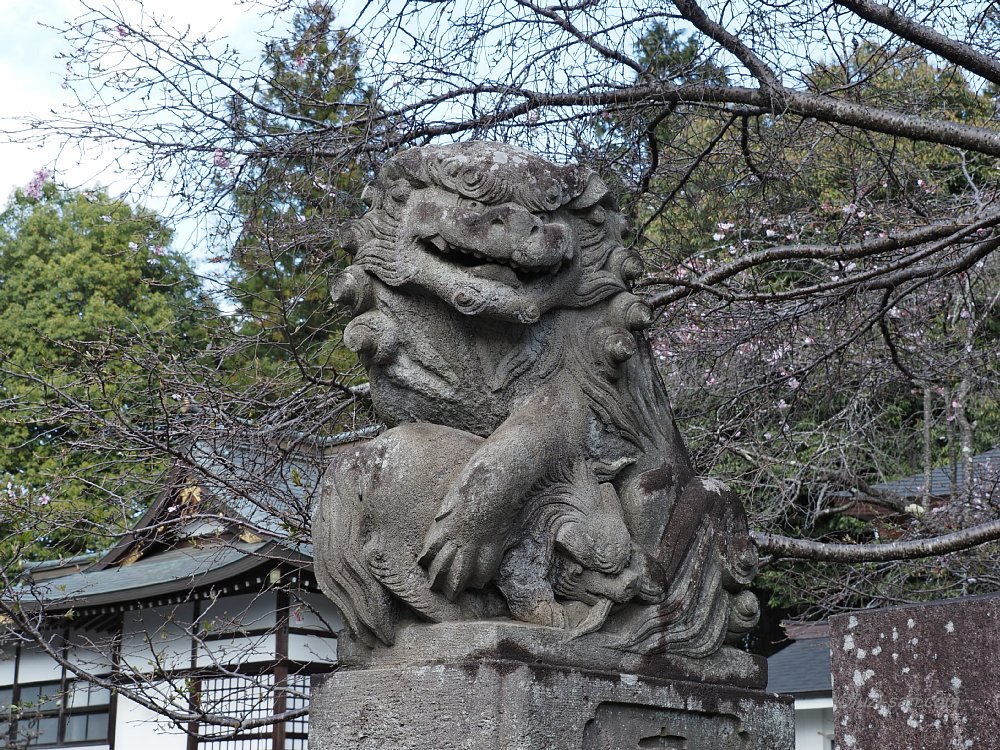 クリックで拡大表示<新町御嶽神社/阿形狛犬>