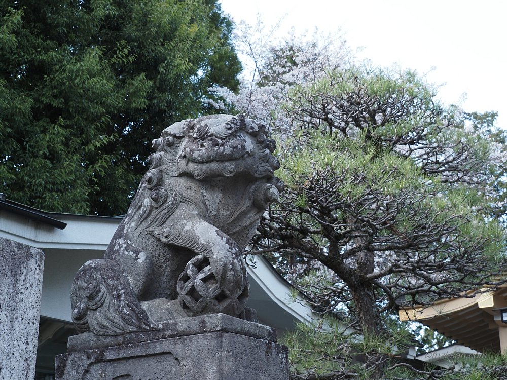 クリックで拡大表示<新町御嶽神社/吽形狛犬>