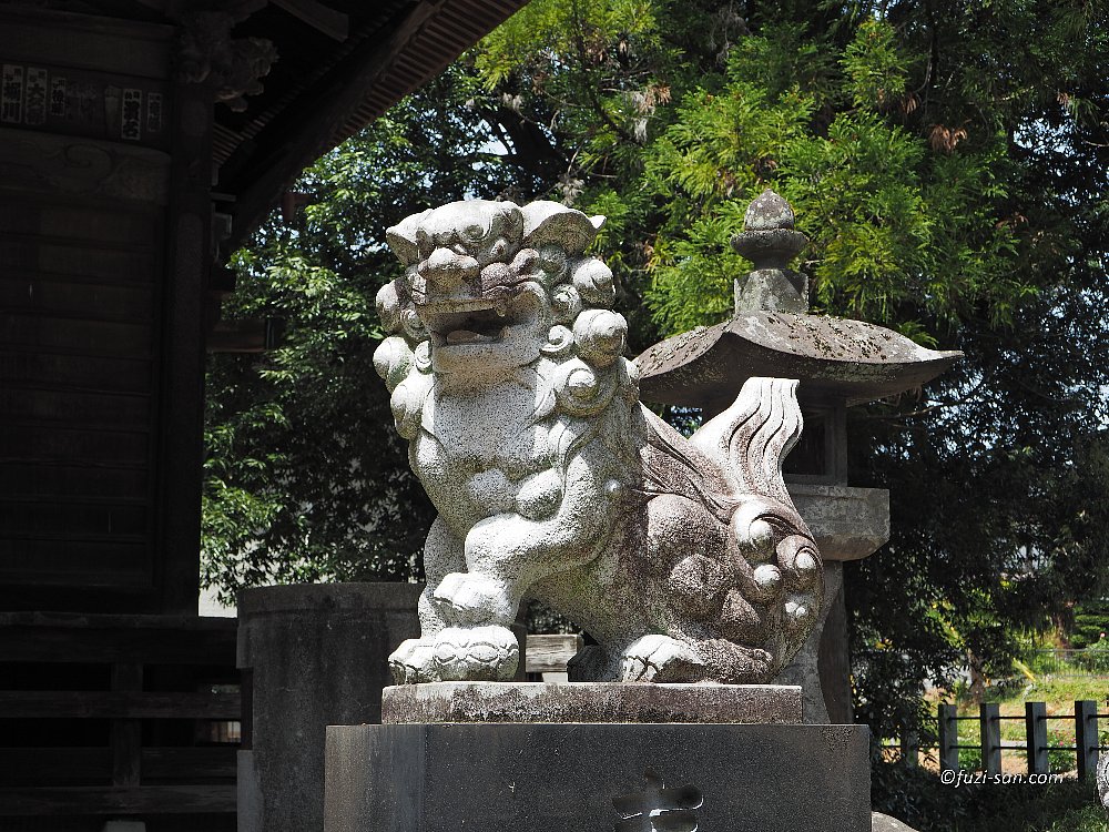 クリックで拡大表示<末野神社/阿形狛犬>
