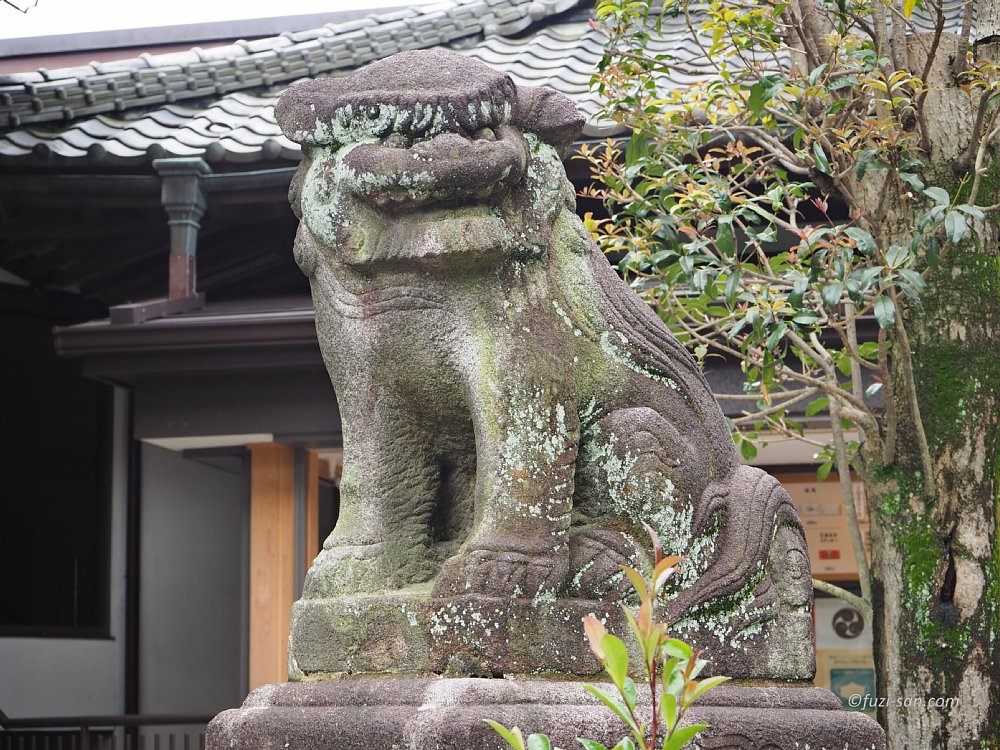 クリックで拡大表示<八幡神社/阿形狛犬>