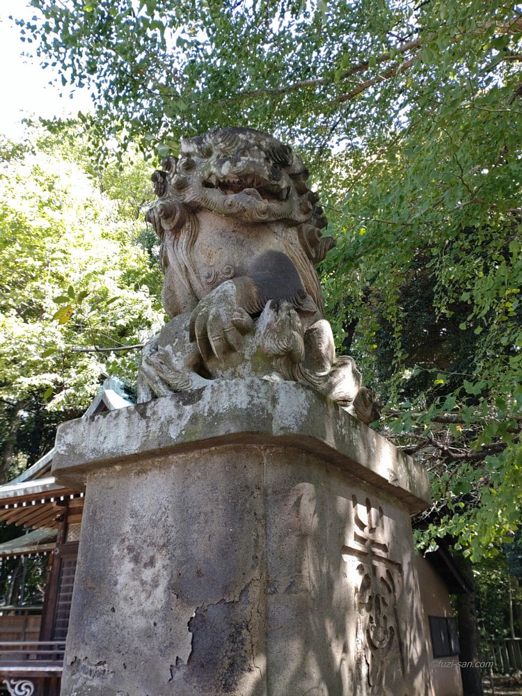 クリックで拡大表示<石神井氷川神社/阿形狛犬>
