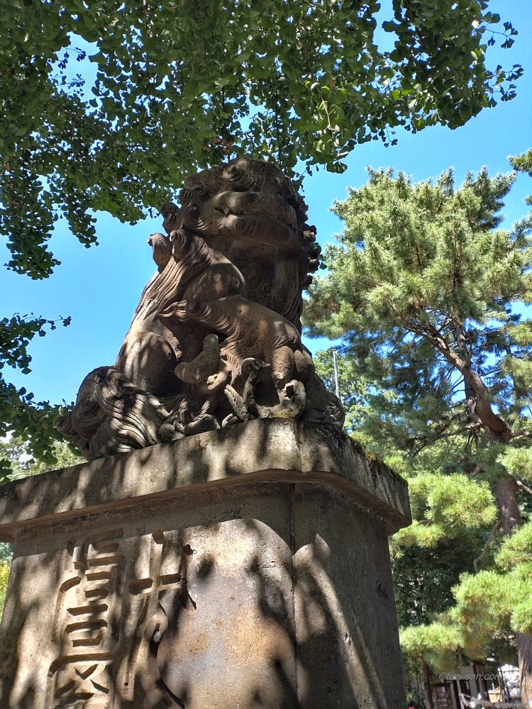 クリックで拡大表示<石神井氷川神社/吽形狛犬>