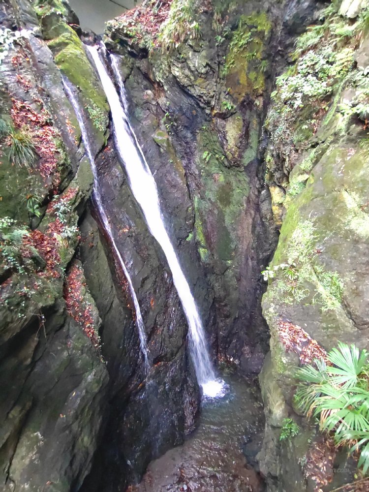 クリックで拡大表示<双竜の滝/奥多摩町鳩ノ巣溪谷>