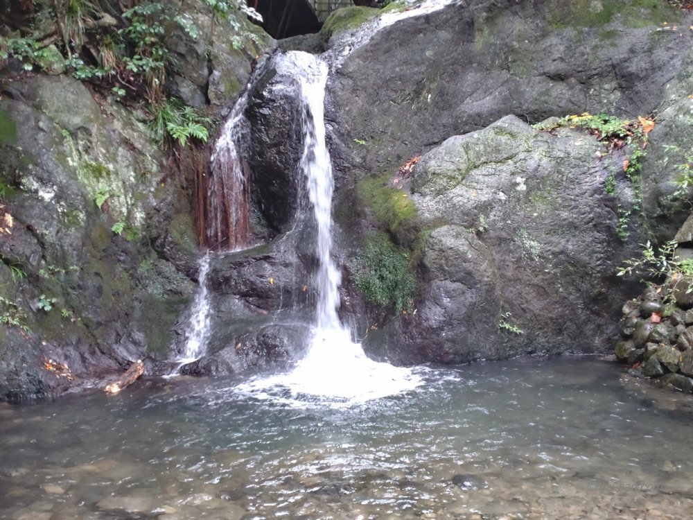 クリックで拡大表示<水神の滝/奥多摩町鳩ノ巣溪谷>