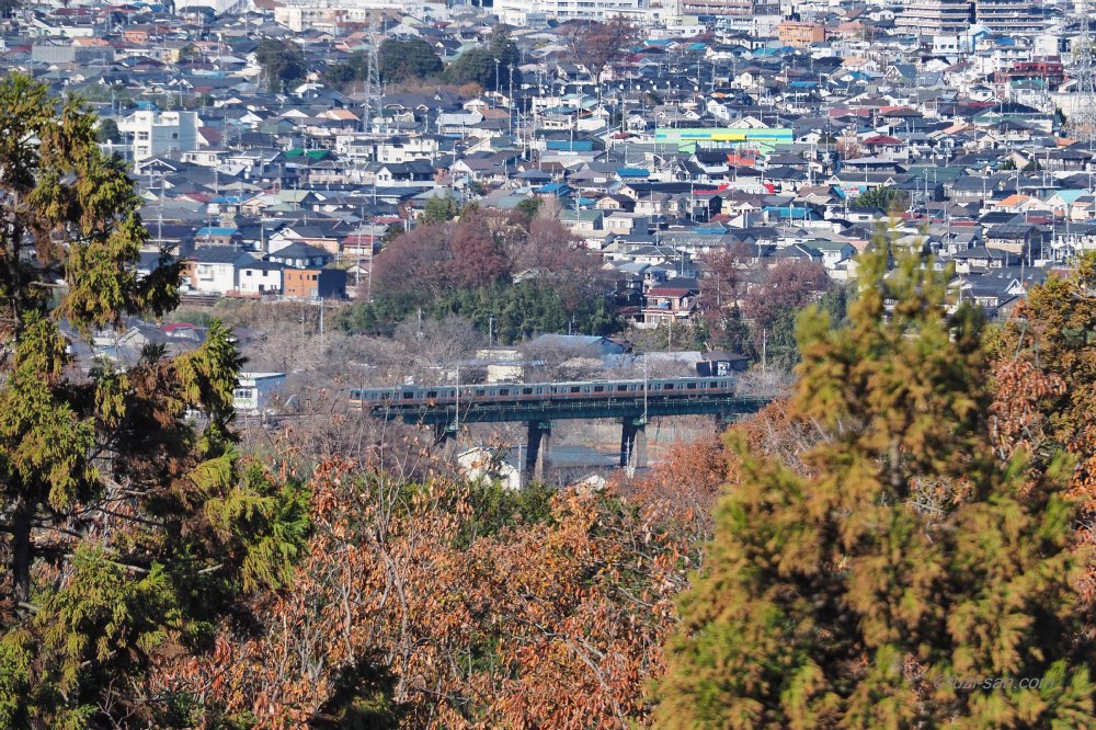 クリックで拡大表示<JR八高線電車と入間川橋梁(桜山展望台から)>